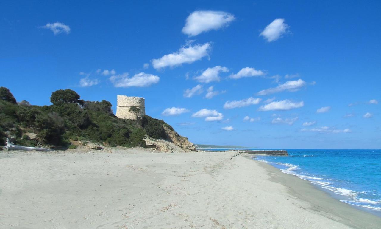 Locations "Chezchristine Aleria" A Aleria Vila Exterior foto